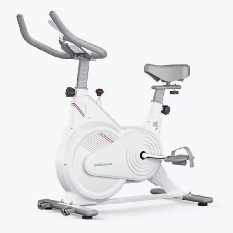 Home Gym Garden - Indoor Stationary Spin Bike, Silent Magnetic