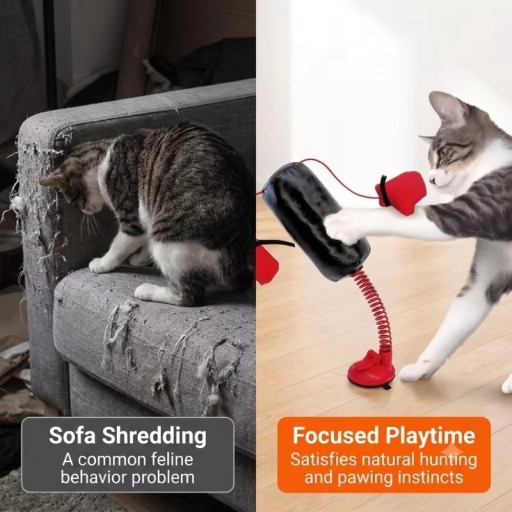 Suction Cup Base Cat Boxing To - Boxing Bag Stand recension och pris