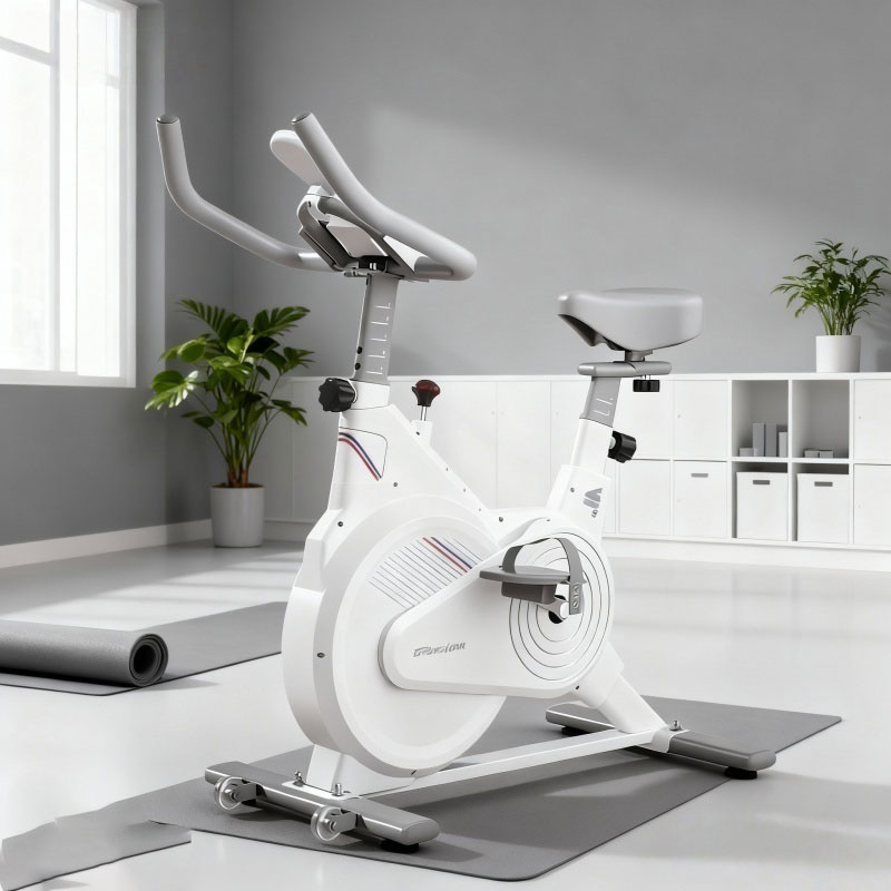 Indoor Stationary Spin Bike, S - Home Gym Garden recension och pris