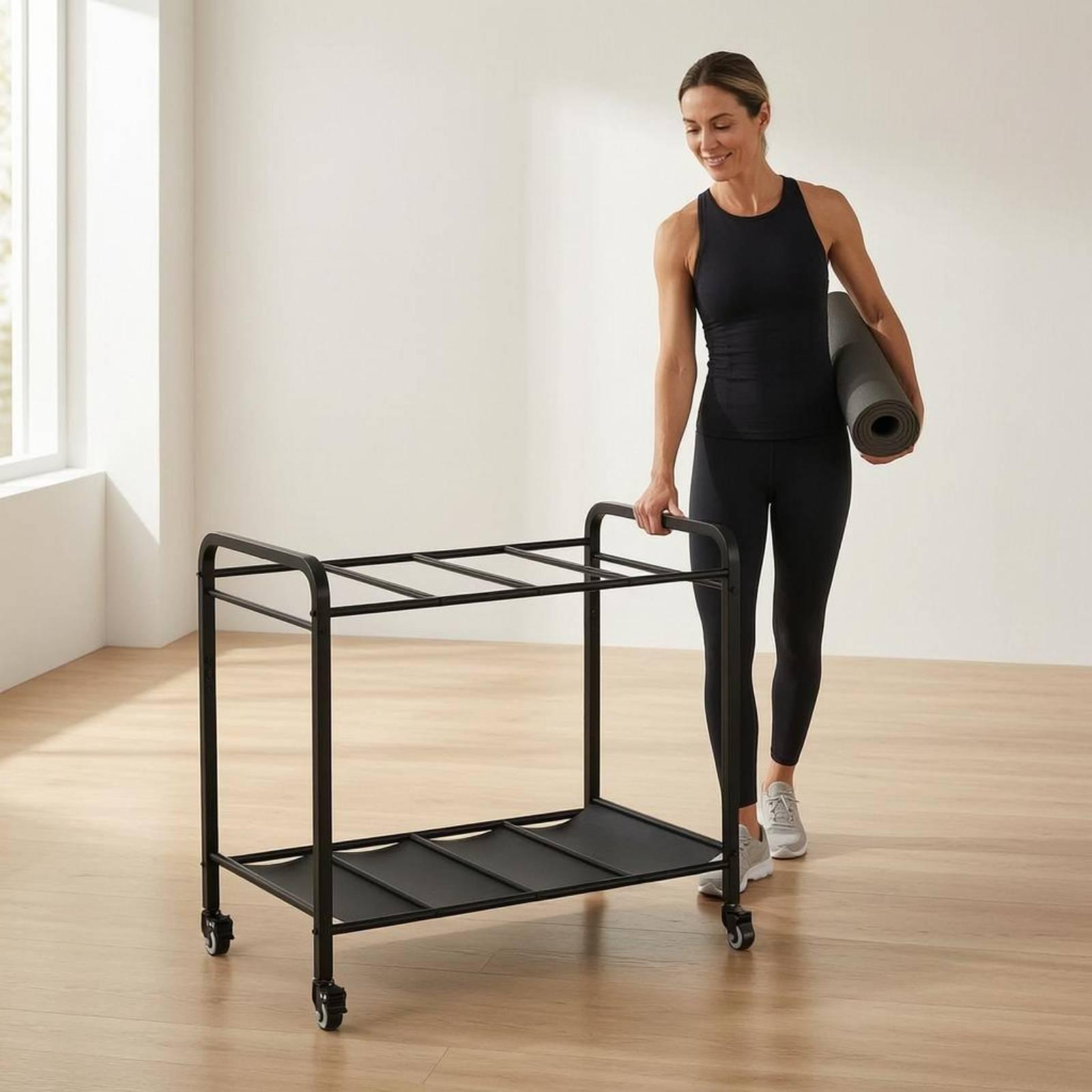 Fitness Gear Organizer Movable - Home Gym Gear recension och pris